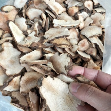 大瑶山野生土茯苓粉质土茯苓白土茯苓纯手工生切日晒