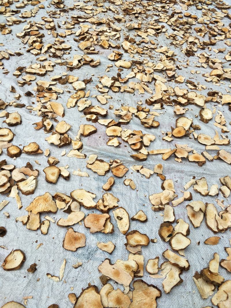 大瑶山野生土茯苓粉质土茯苓白土茯苓纯手工生切日晒