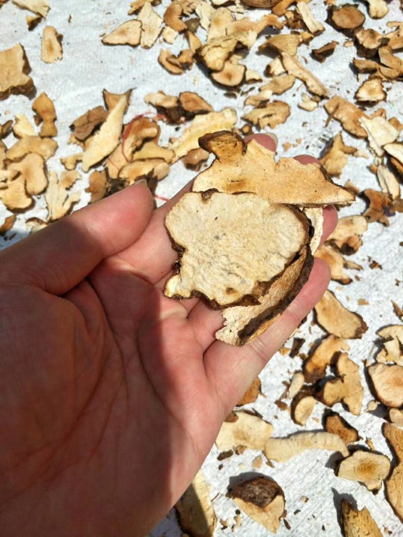 大瑶山野生土茯苓粉质土茯苓白土茯苓纯手工生切日晒