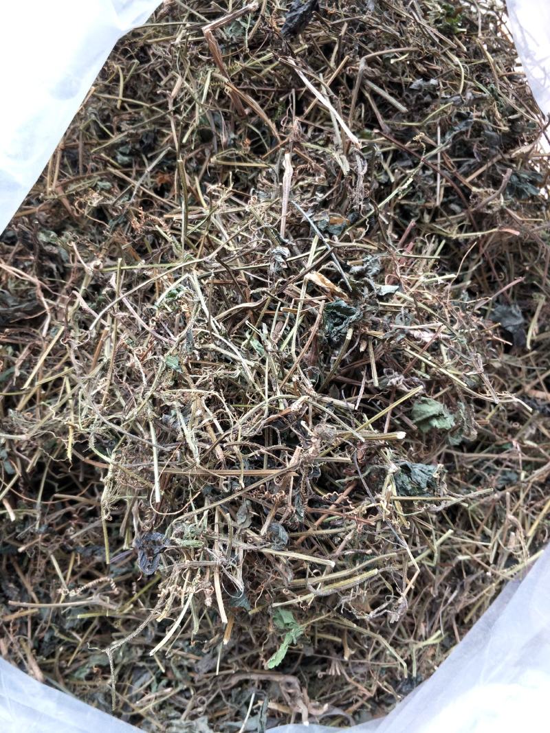 野生绞股蓝手工切晒金秀大瑶山绞股蓝