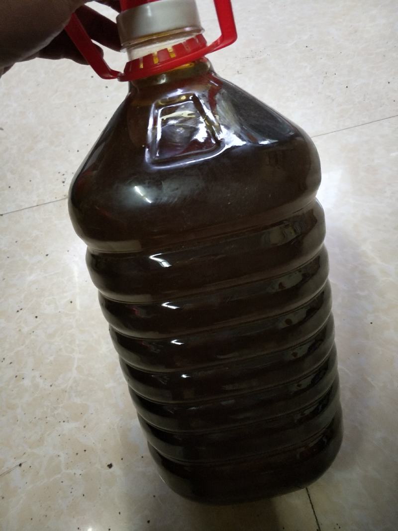 野生茶树果油野生茶树籽油茶果籽油本地高山茶油品种