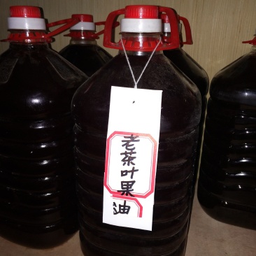 野生茶树果油野生茶树籽油茶果籽油本地高山茶油品种
