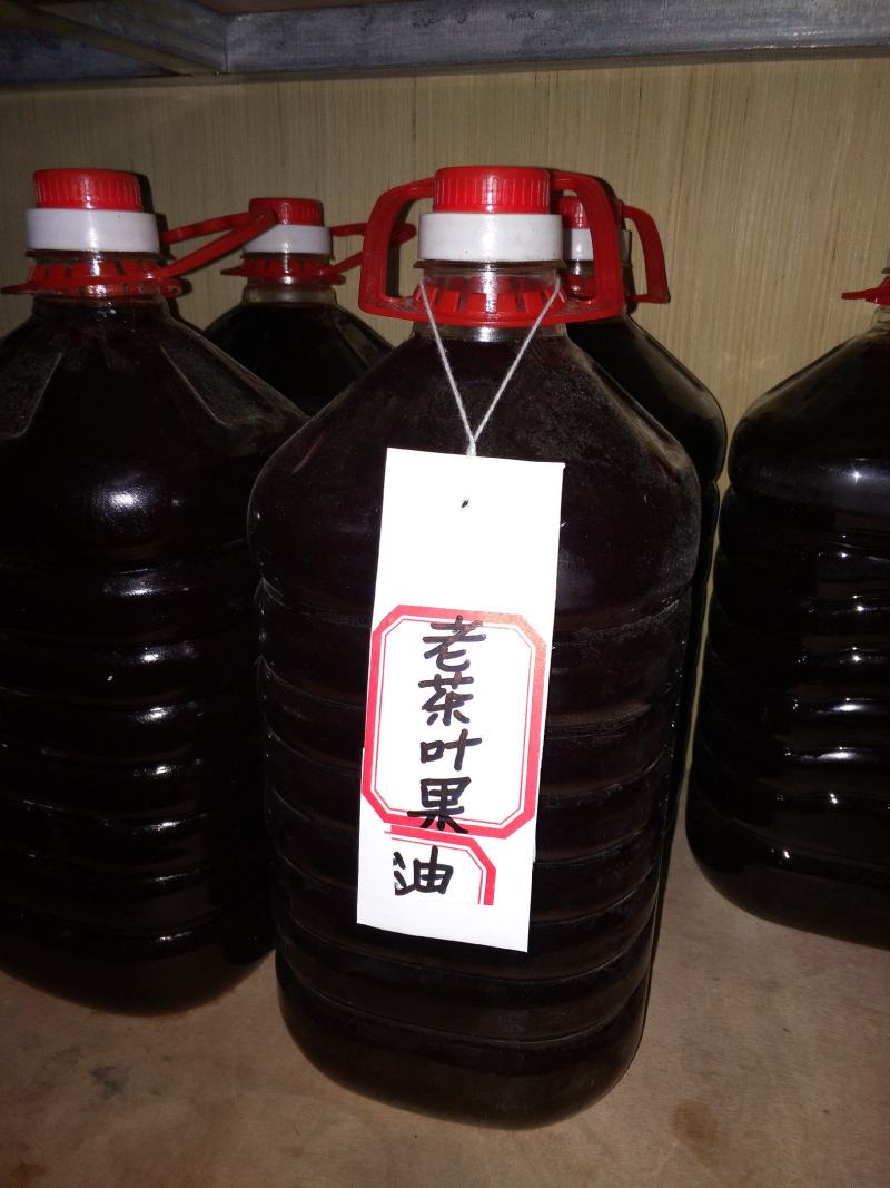野生茶树果油野生茶树籽油茶果籽油本地高山茶油品种