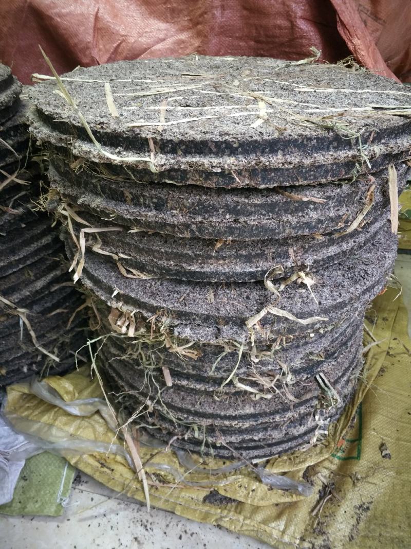 野生茶树果油野生茶树籽油茶果籽油本地高山茶油品种