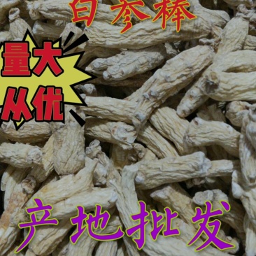 大量批发六年无硫白参棒[量大从优一手货源]欢迎选购。