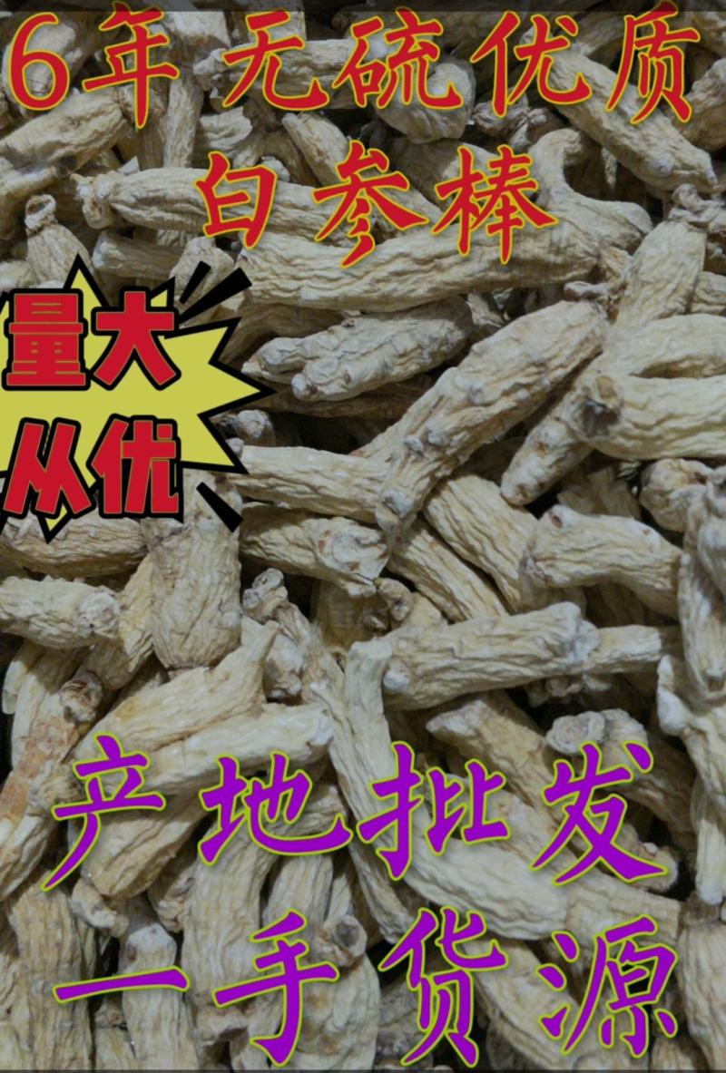 大量批发六年无硫白参棒[量大从优一手货源]欢迎选购。