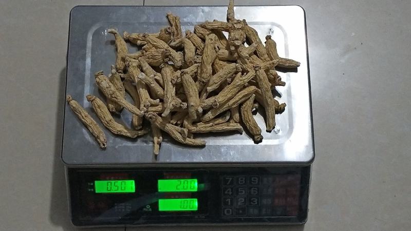 大量批发六年无硫白参棒[量大从优一手货源]欢迎选购。