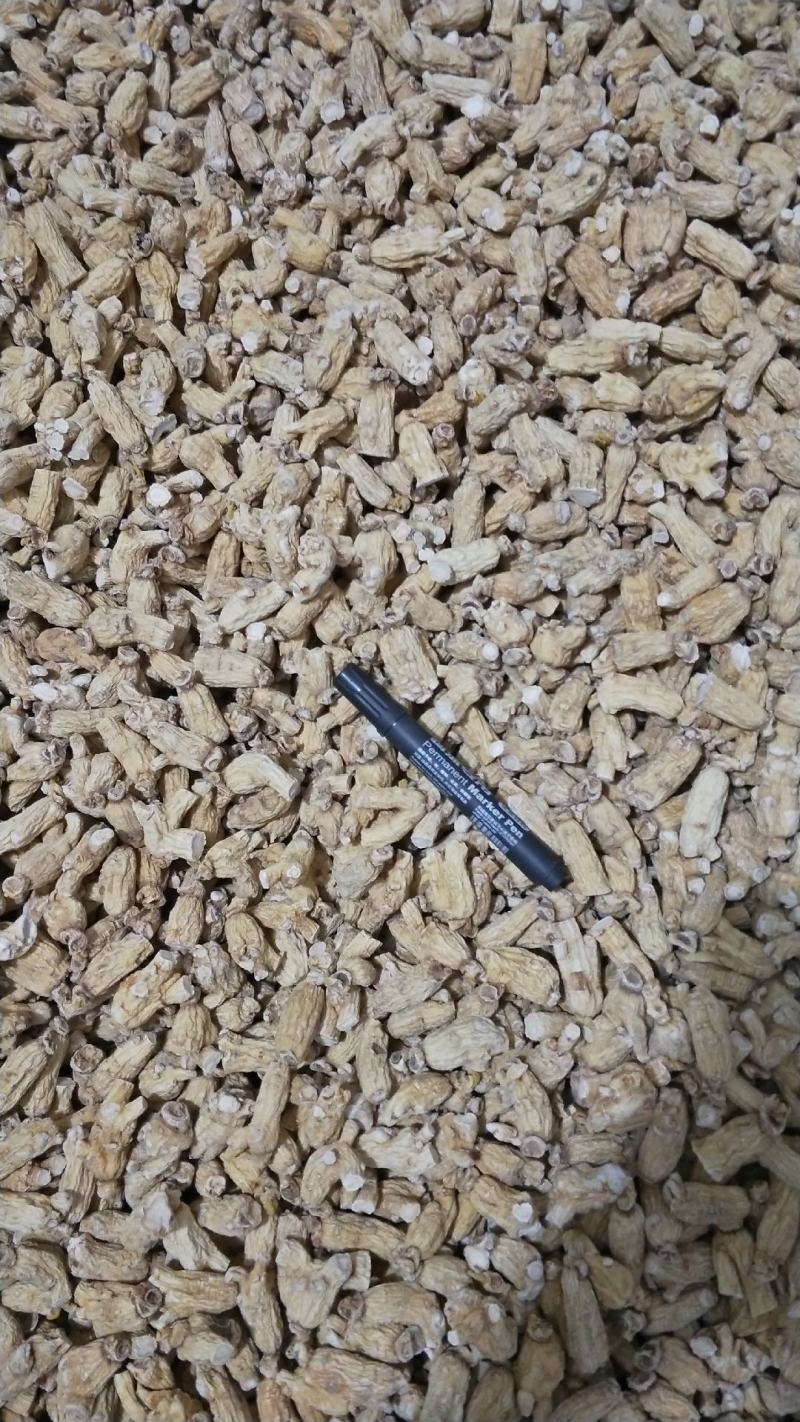 大量批发六年无硫白参棒[量大从优一手货源]欢迎选购。
