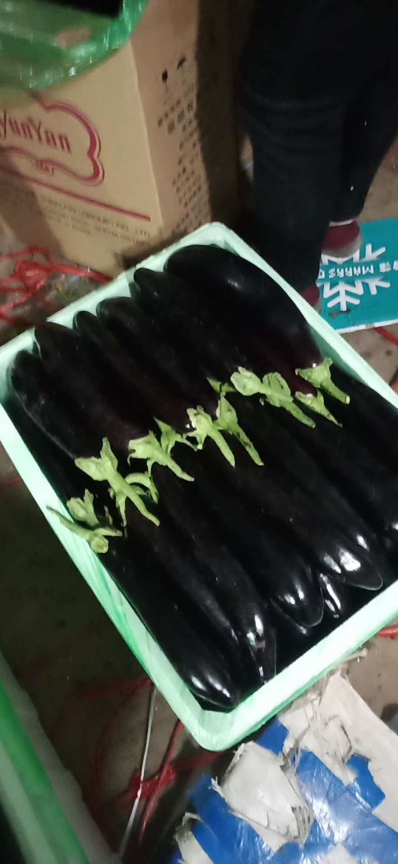 茄子辽宁海城茄子紫长茄基地直供价优现采现发