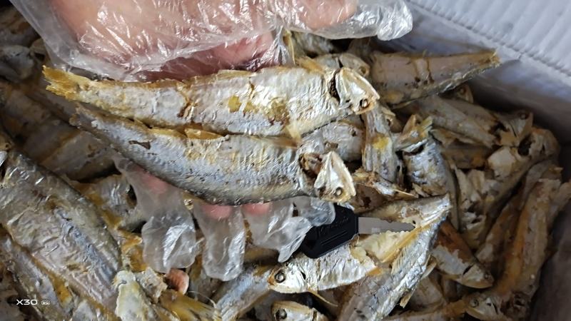 国宝鱼小马囗鱼熟的，不咸很香，下酒菜一手货源大量现货供应