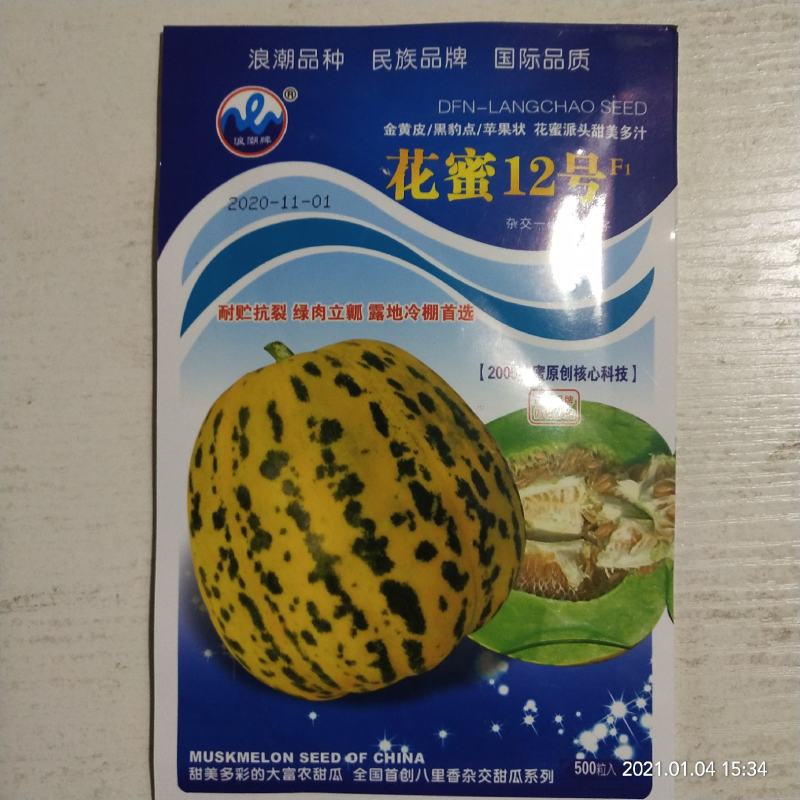 花蜜8号甜瓜种子中早熟品种含糖量18度以上种子