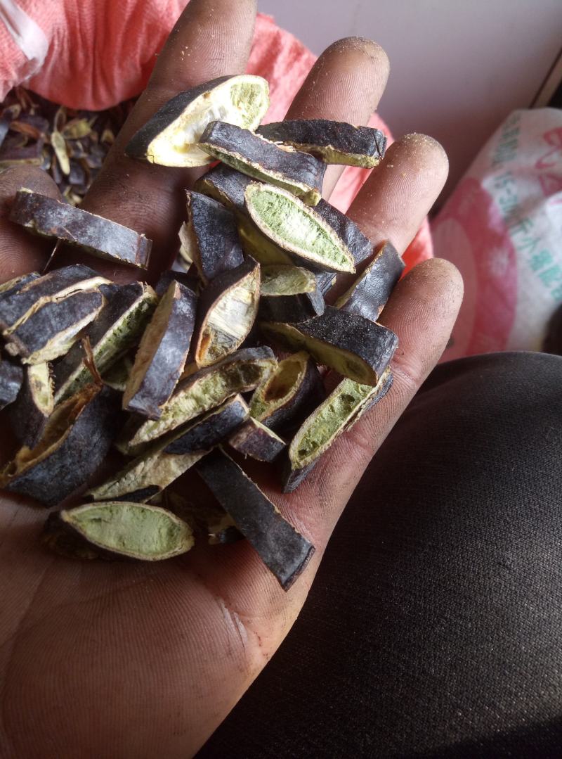 皂角段纯手工加工的，无虫无霉变