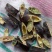 皂角段纯手工加工的，无虫无霉变