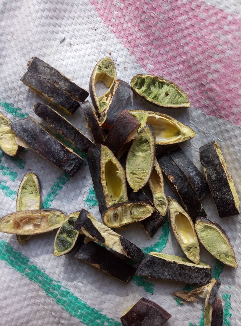 皂角段纯手工加工的，无虫无霉变