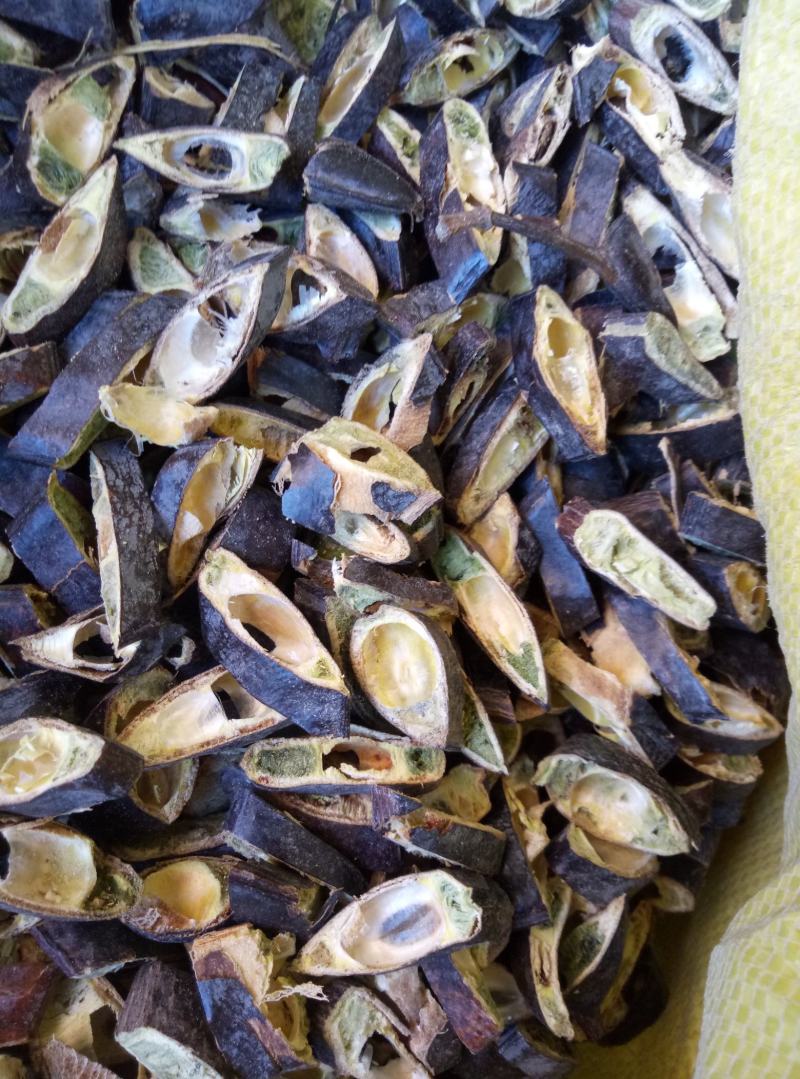 皂角段纯手工加工的，无虫无霉变