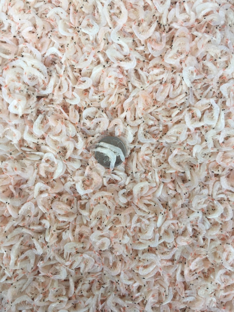 无盐虾皮干度好口感好品质高适合商超送礼佳品