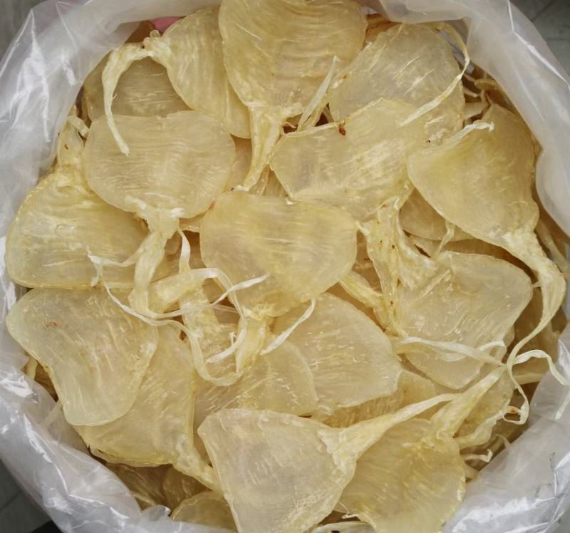 10头缅甸柔肉斗湖鱼胶花胶批发口感清淡不腥