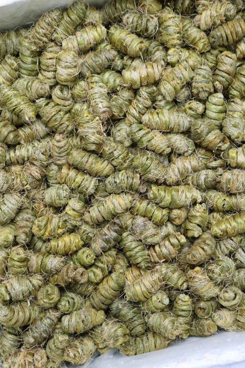 特级大紫皮石斛没有渣颗粒颗粒大