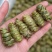 特级大紫皮石斛没有渣颗粒颗粒大