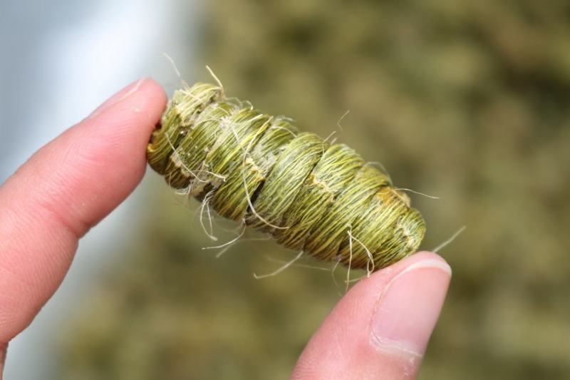 特级大紫皮石斛没有渣颗粒颗粒大