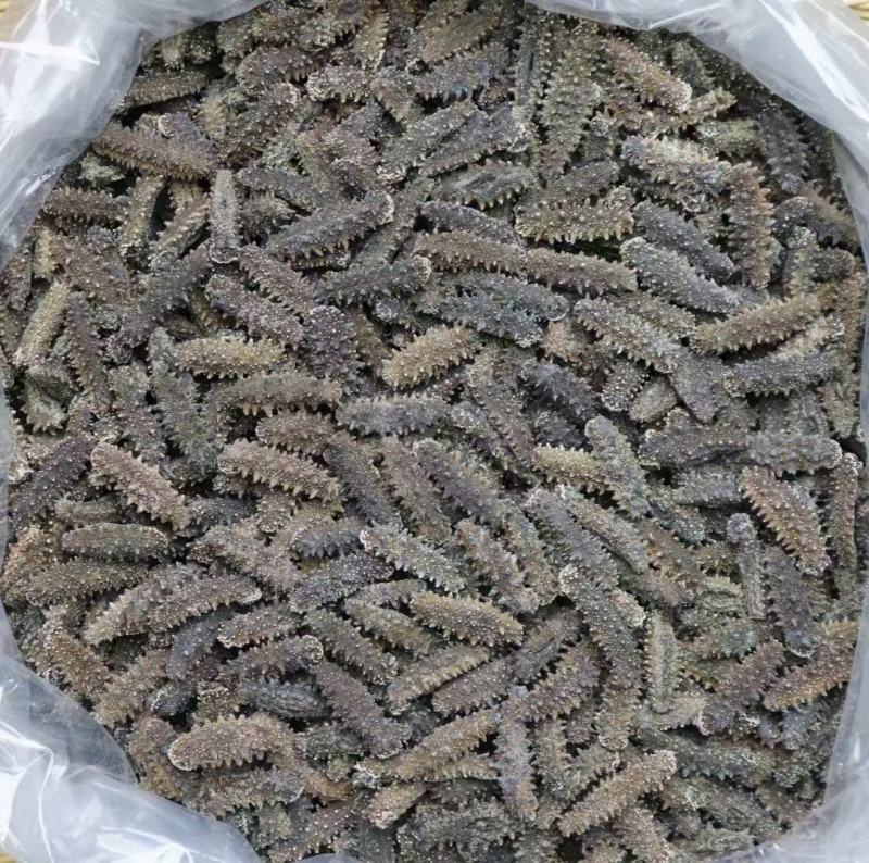 A货200头纯淡干关东参海参泡发率15倍