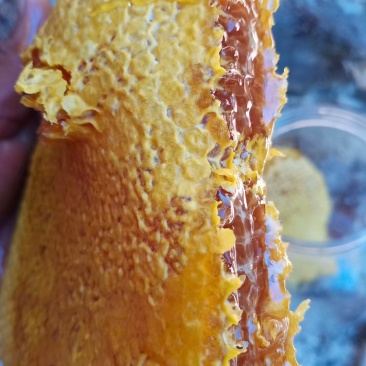 云南德宏州大山深处野生蜂蜜
