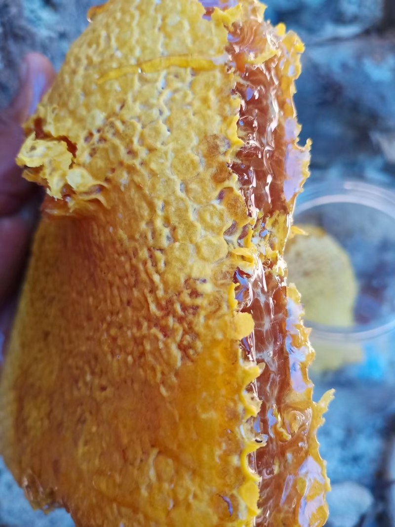云南德宏州大山深处野生蜂蜜