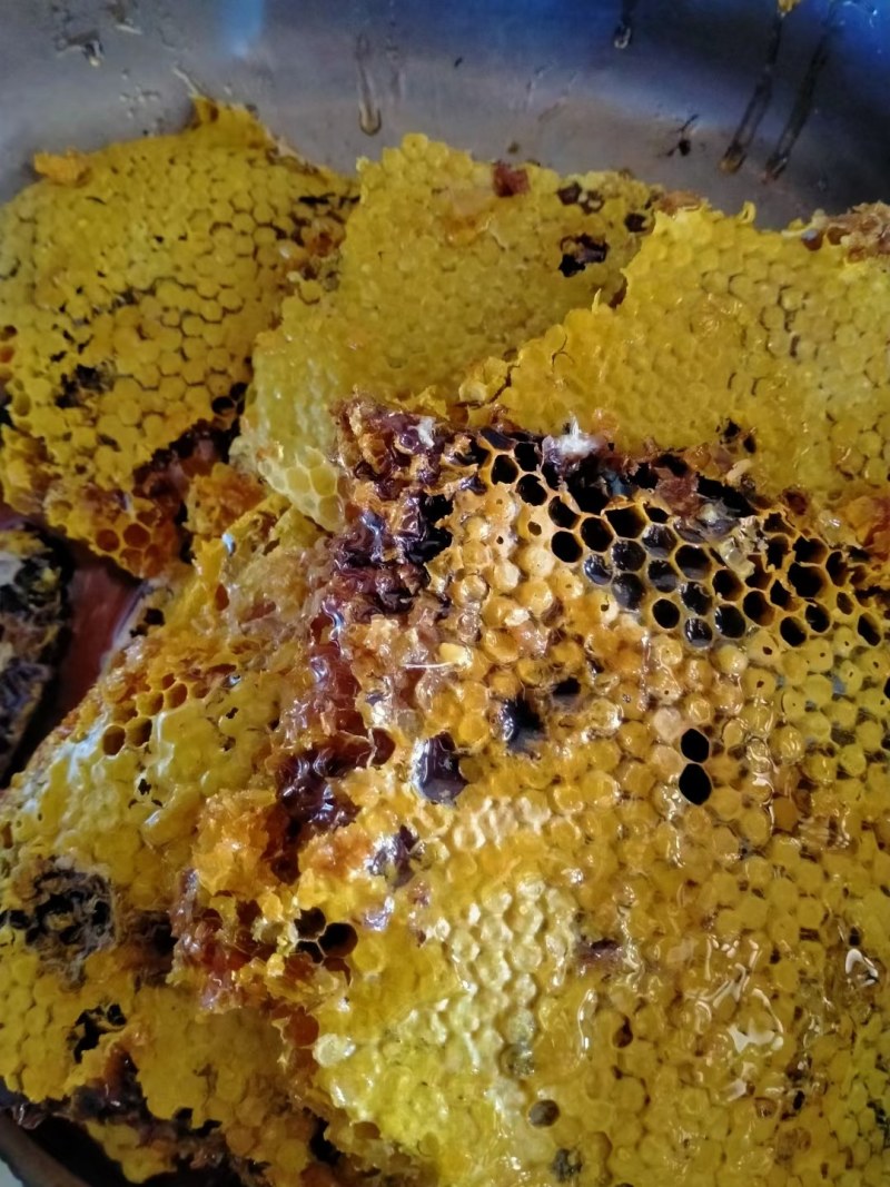 云南德宏州大山深处野生蜂蜜