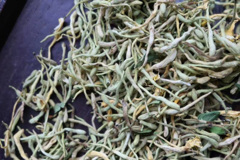普通金银花性价比高颜色会淡点