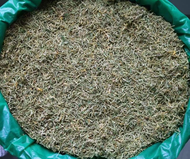 普通金银花性价比高颜色会淡点