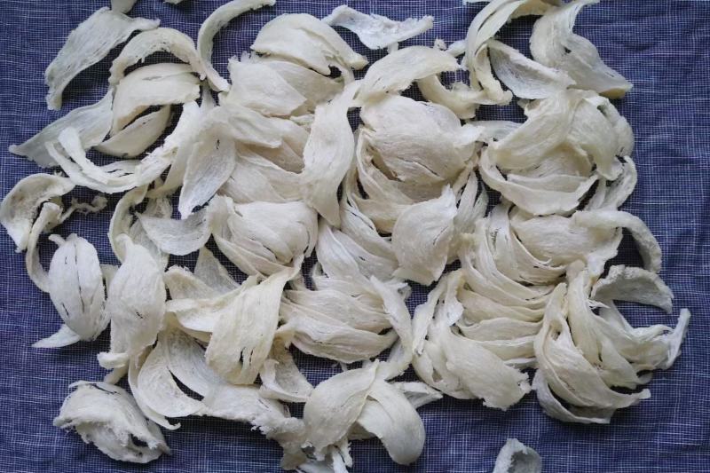 .干挑盏条燕窝印尼批发9干度50g560元