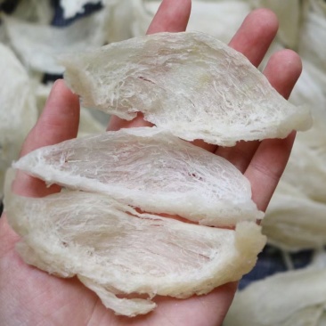 .干挑盏条燕窝印尼批发9干度50g560元