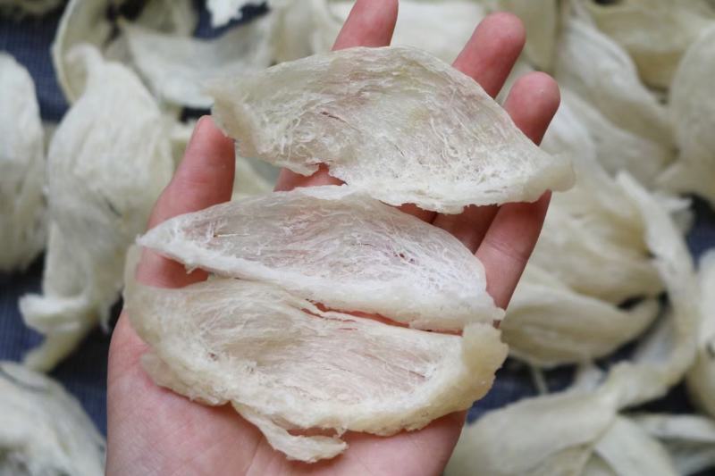 .干挑盏条燕窝印尼批发9干度50g560元