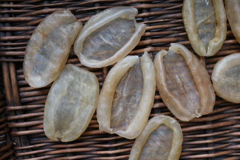 15头加州白花胶鱼胶花胶批发