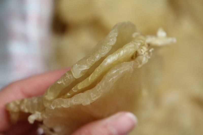 27头红鸡赤嘴鱼胶花胶批发