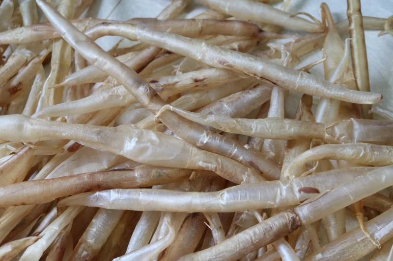 60头鳝肚鱼胶花胶批发代发