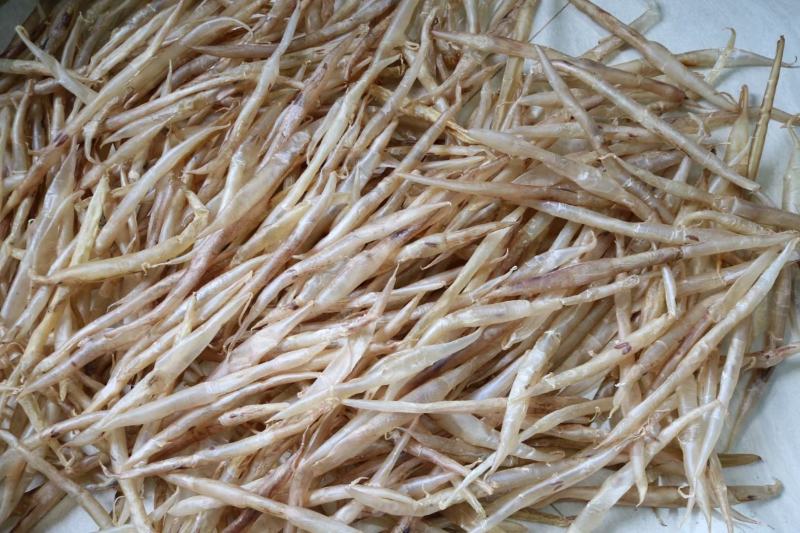 60头鳝肚鱼胶花胶批发代发