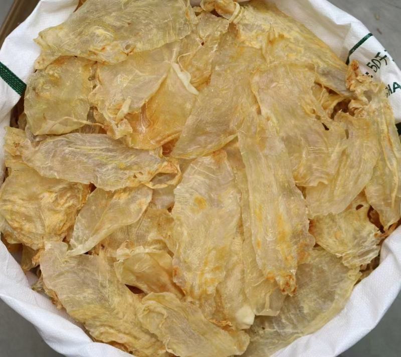 16头顺风肚斗湖片鱼胶花胶批发