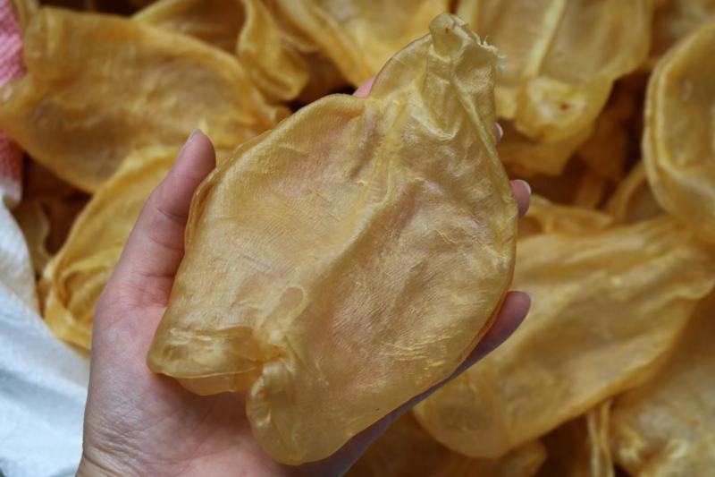 17头开边黄花胶鱼胶花胶批发