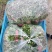 香菜，小叶香菜，铁杆青。基地直供，上货量大