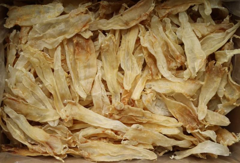 30头巴西北海公肚鱼胶花胶不腥