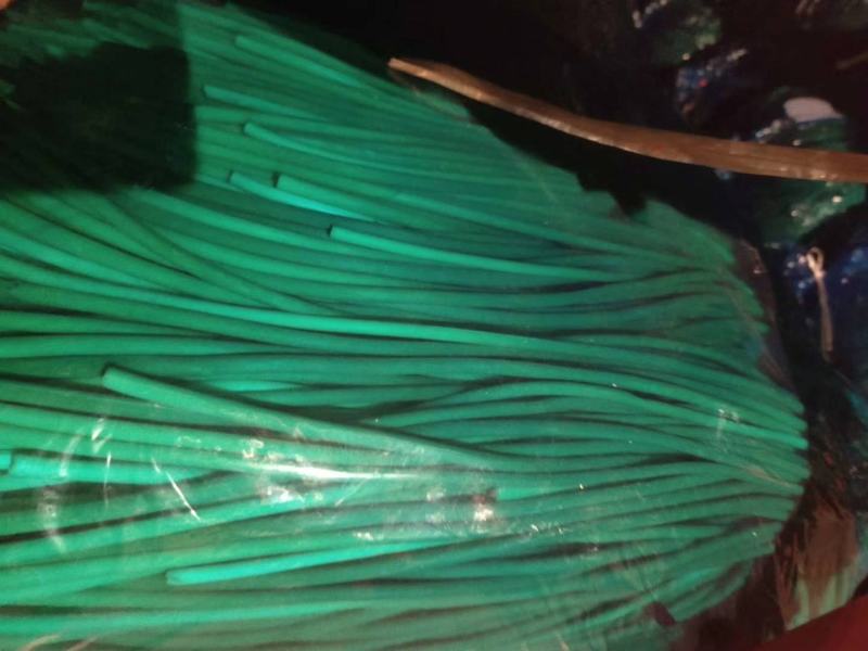 山东金乡蒜苔精品蒜薹产地直发冷库存储量大从优代发全国