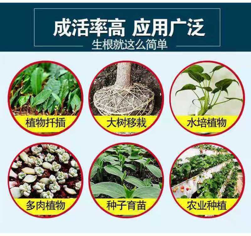 路易理根生根壮苗剂生根剂壮根养根促进生根预防死苗