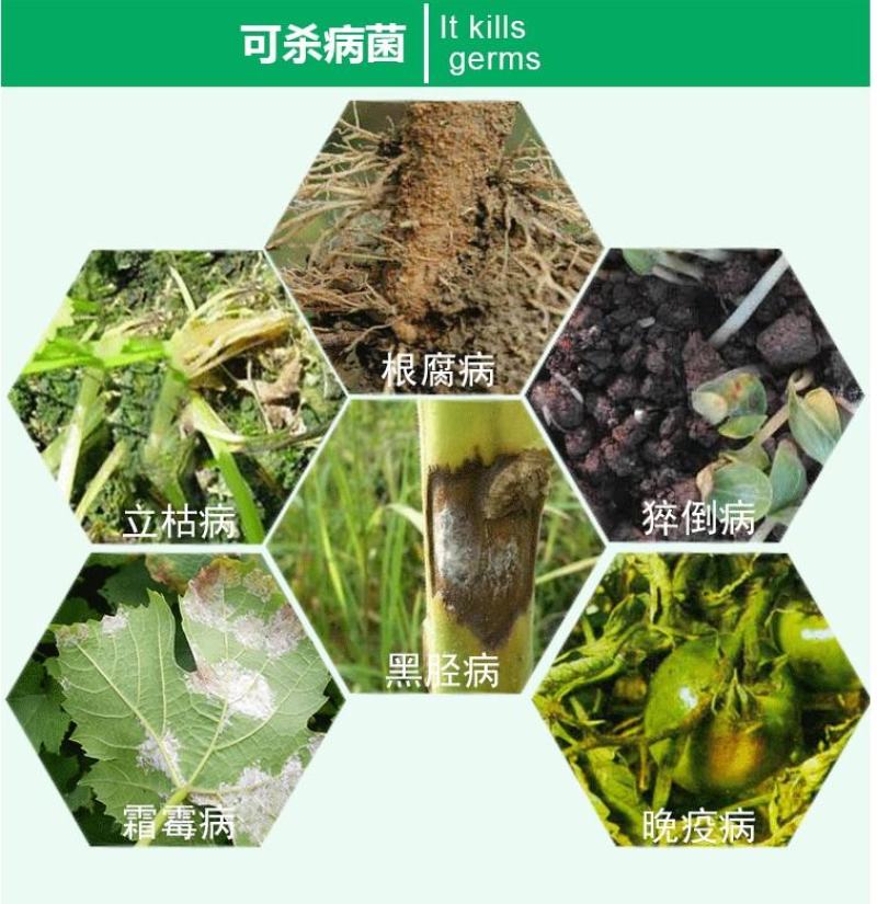江苏蓝丰霜霉威盐酸盐霜霉病疫病杀菌剂100克普力克
