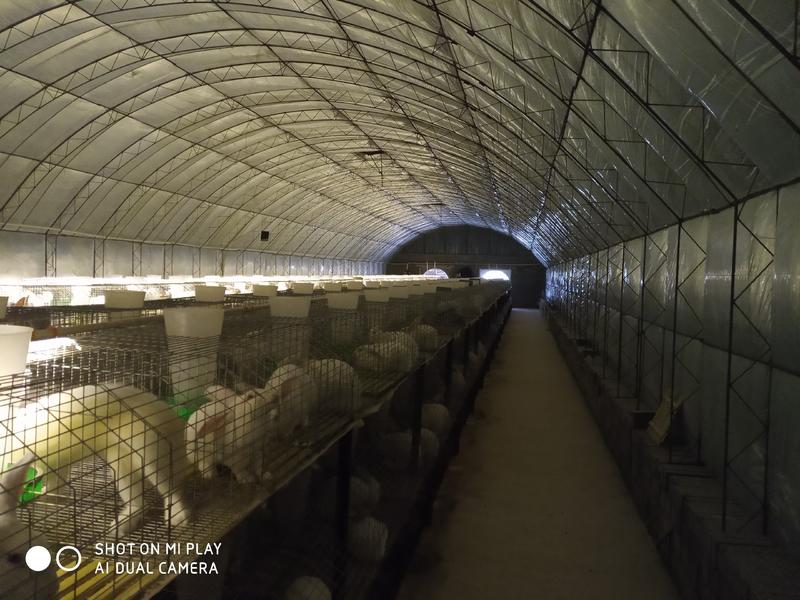 发酵干纯兔粪，不含杂质一手货源支持全国发货