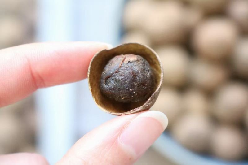单品包邮A带壳桂圆干性价比高