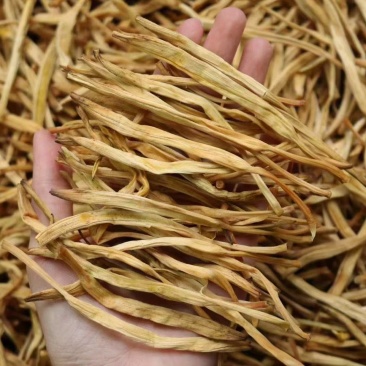 特级黄花菜货色好性价比高