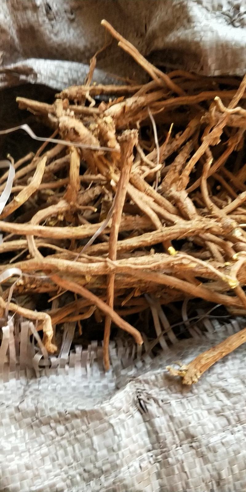 现有干黄芩待售500斤