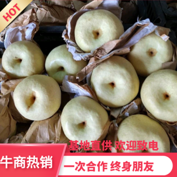 【热销】蒲城精品膜袋酥梨产地直供、脆甜可口、皮薄多汁