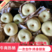 【热销】蒲城精品膜袋酥梨产地直供、脆甜可口、皮薄多汁